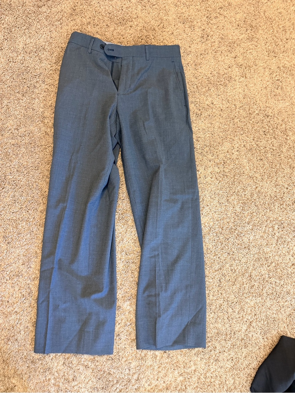 Daniel Cremieux Light Blue Lined Modern Fit Pants